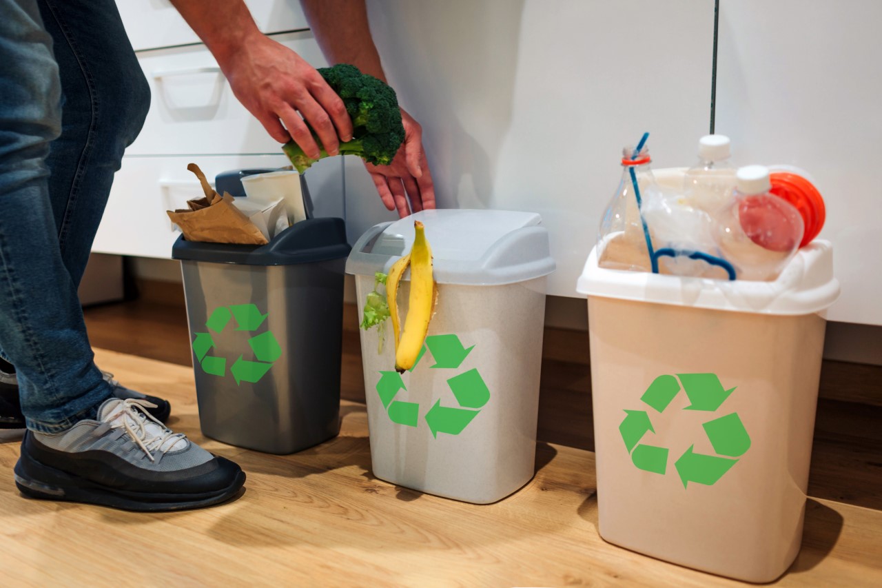 Reciclar en casa: ¡lo orgánico no es basura! - EdiPro Blog